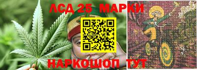 ГАЛЛЮЦИНОГЕННЫЕ ГРИБЫ Краснодар