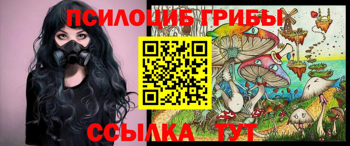 Псилоцибиновые грибы Magic Shrooms  Вход с VPN  Галлюциногенные грибы Psilocybine cubensis  Грозный 